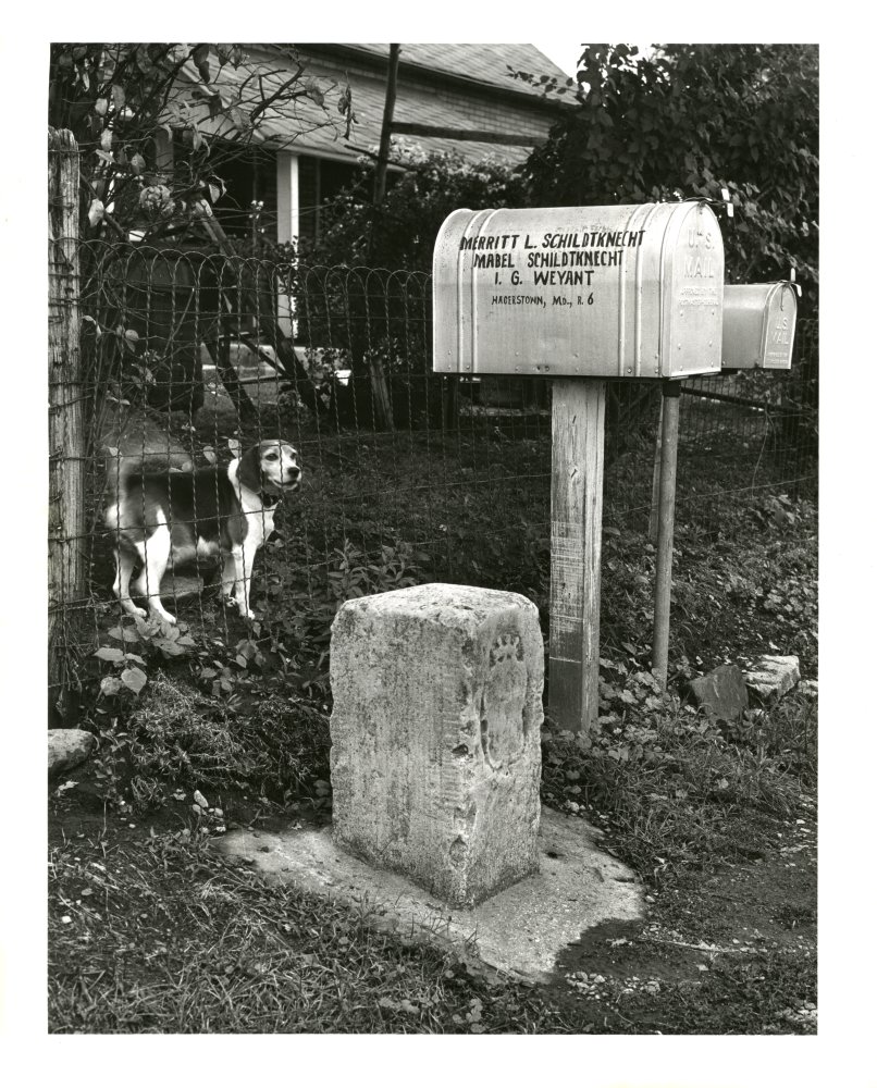 22-192 (click for large image)